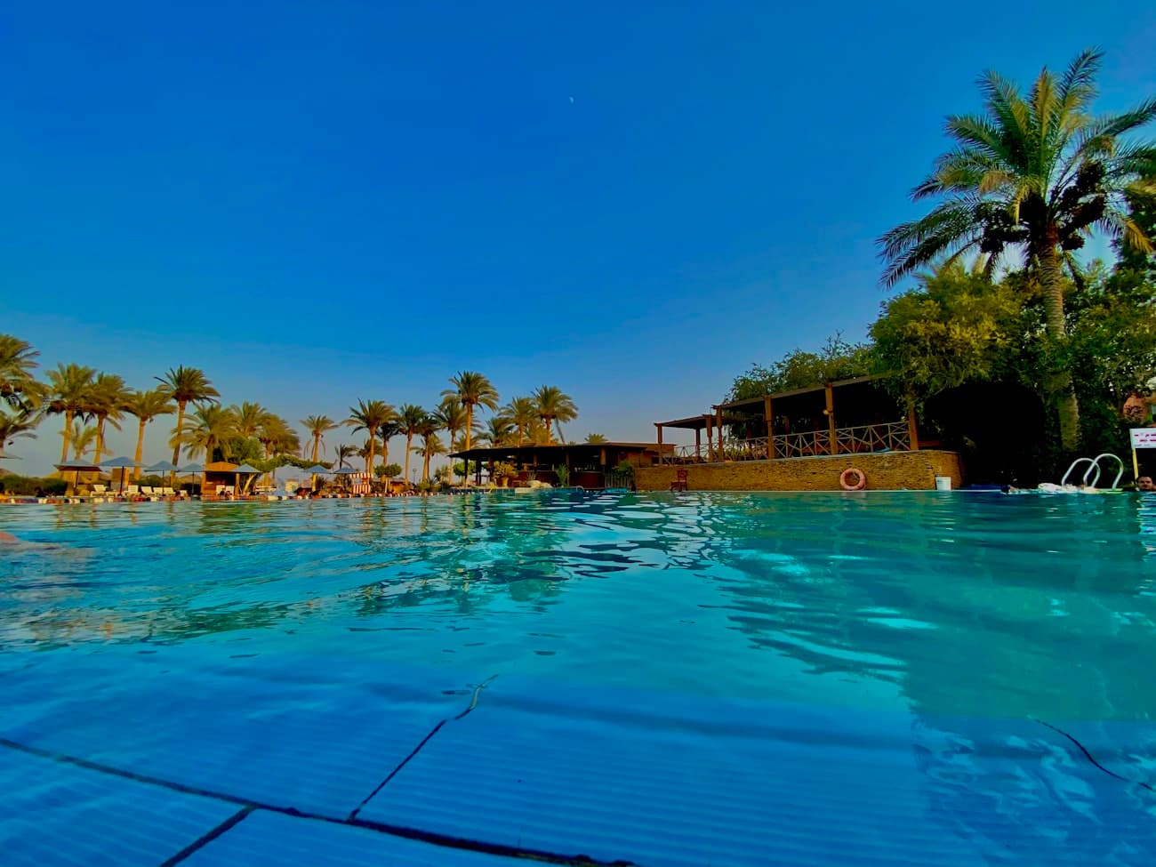 Resort swimming pool lined with palm trees on the Red Sea coast